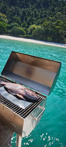 Imagem da experiência